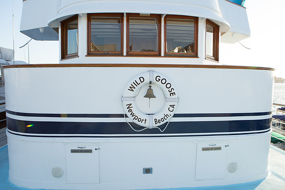 Wild Goose Hornblower-16