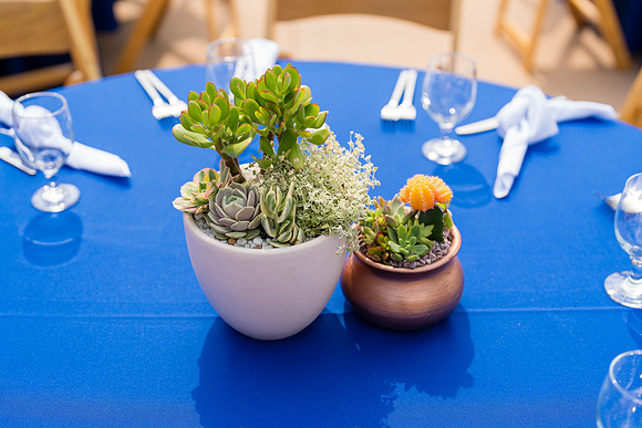 Wedding Phots MOLAA Long Beach Ca - David England Photography-464