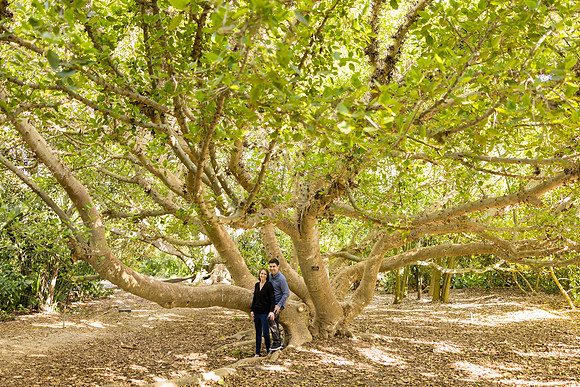 Engagement Photos South Coast Botanic Garden-146