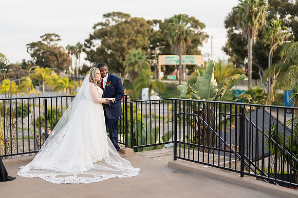 The Reef Sunset Wedding - David England Photography-413