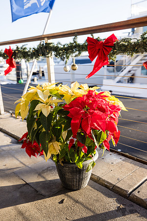 Holidays Photos Endless Dreams - David England Photography-003