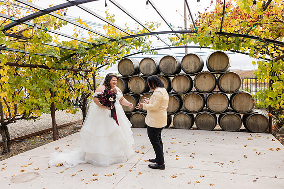 Wedding Photos Del Valle Winery Livermore Ca-135