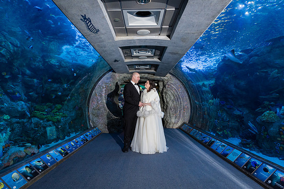 Acquarium of the Pacific Wedding-11