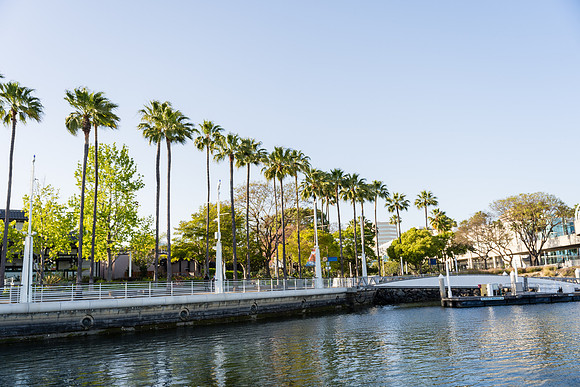 SSA Long Beach - David England Photography-009