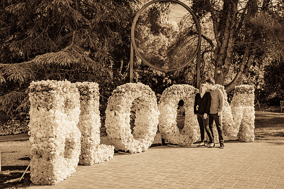 Engagement Photos South Coast Botanic Garden-117