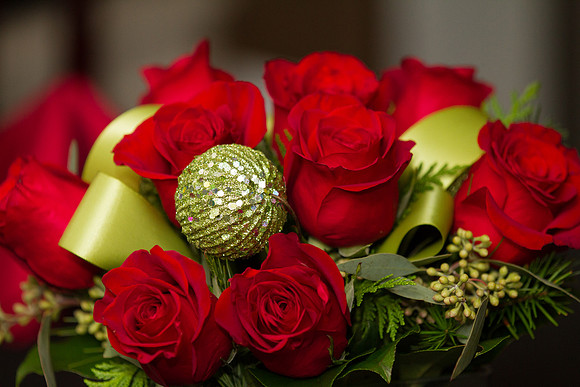 Photo-9