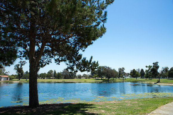 Lakewood Youth Golf-189