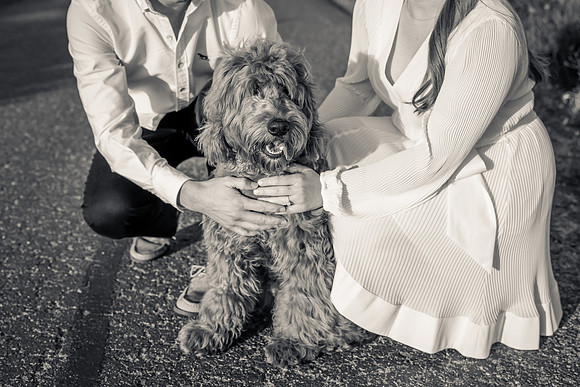 Engagement Photos crystal cove laguna beach-093