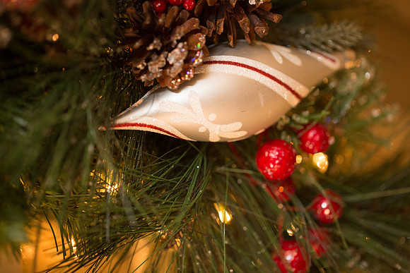 Newport Christmas Light Parade-139